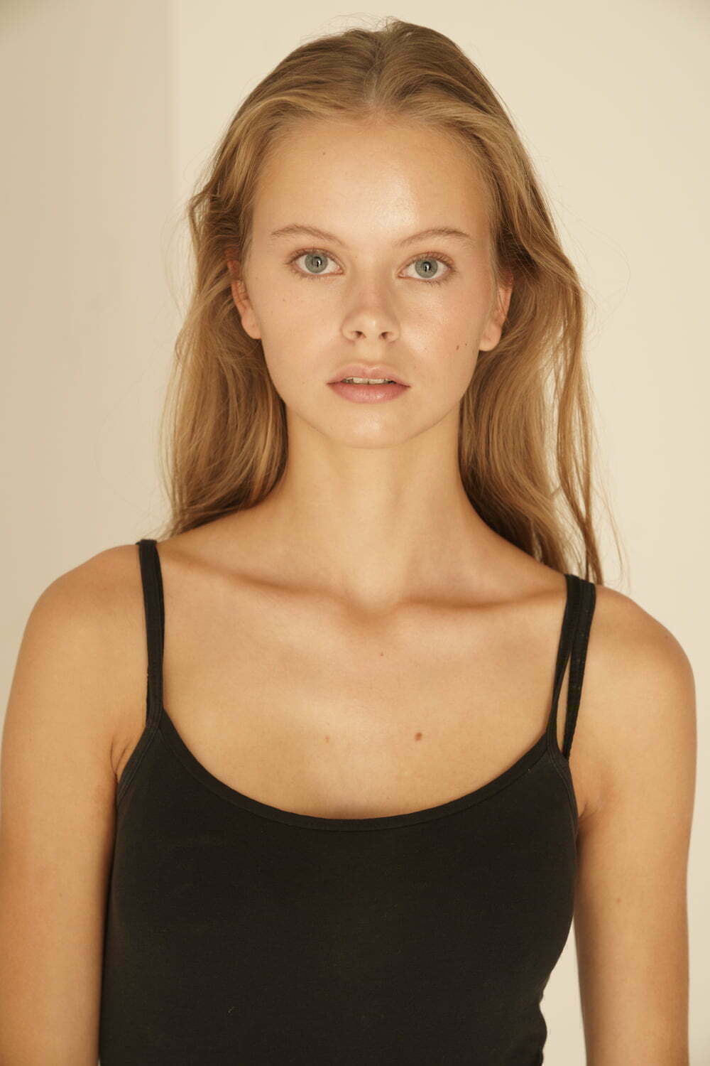 Application USA Model Agent